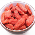 Bagas de goji vermelho secas por atacado certificado orgânico em massa